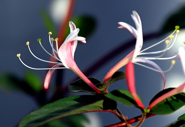 �Ґ۵��˺͐��ҵ��ˣ�����x��һ����