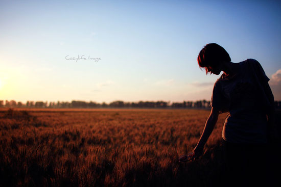 Girasol�����������ȥ�ľ�з����