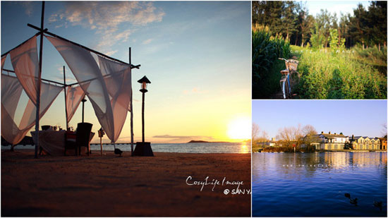 Girasol�����������ȥ�ľ�з����