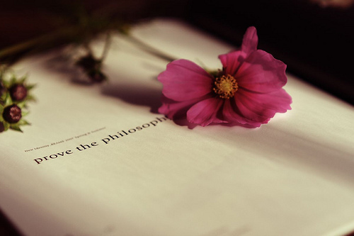 忘記是一種風度,舍得是一種智慧