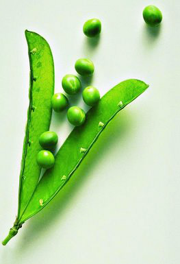 ���ҽ��أ��W�j����ġ�����ʳ�V�����V��