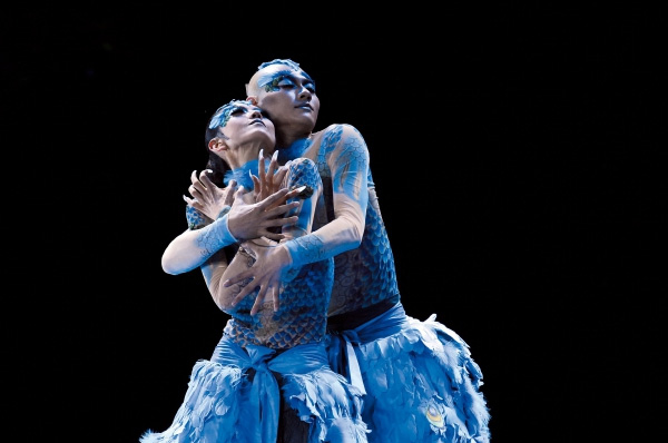 ����Ƽ��һ���赸�ҵĴ���