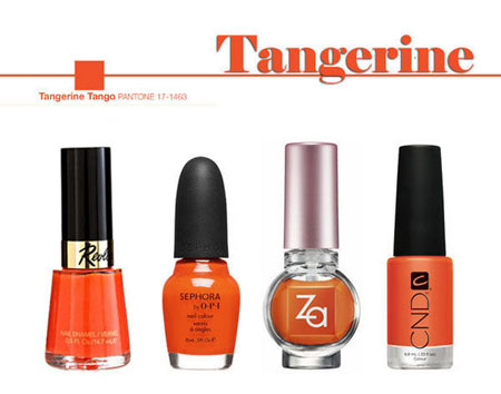 2012�������N��ָ����ɫ��