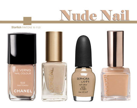 2012�������N��ָ����ɫ��