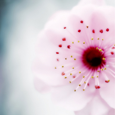 �ֵ����w�^���r ����Ƥ�w�^����ô�k��