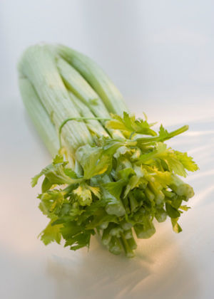 5�N��Ȼʳ�� ���㾏��Q�����w����