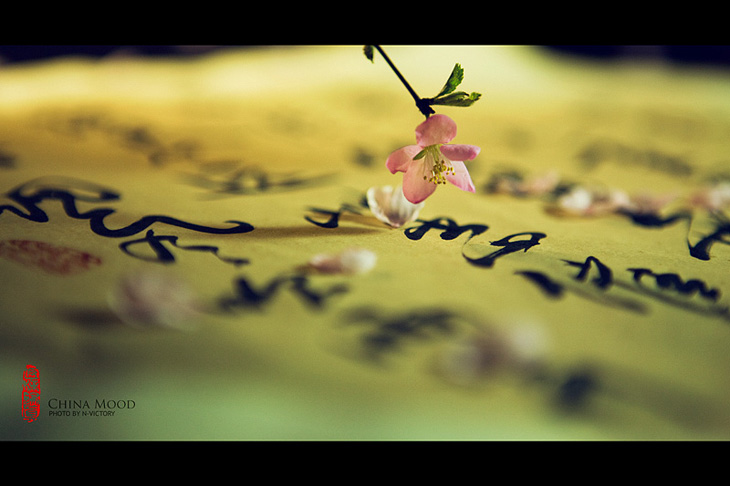 Ψ�����Ї��L�o��棺CHINA MOOD