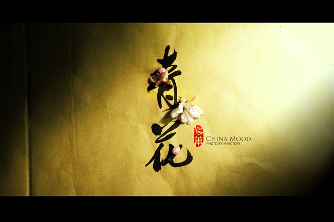 Ψ�����Ї��L�o��棺CHINA MOOD