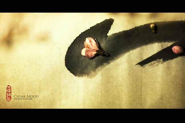 Ψ�����Ї��L�o��棺CHINA MOOD