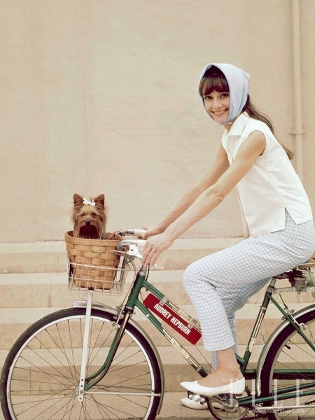 �������g����ʹ �ձ��Q��83����