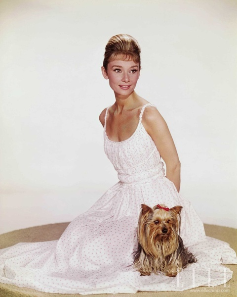 �������g����ʹ �ձ��Q��83����