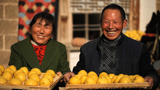 ������ϵ��Ї���չʾ��ʳ�����������ζ