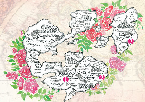 õ����ϵ����������