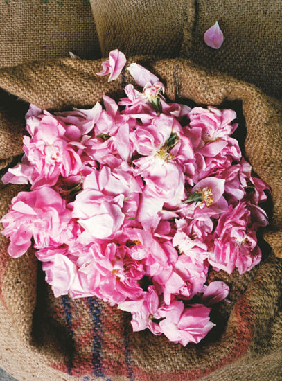 õ����ϵ����������