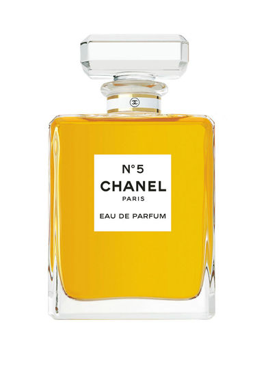 õ����ϵ����������