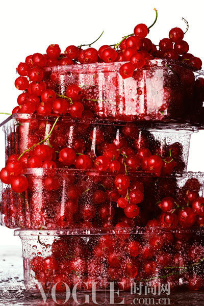 �B������ʺ�ݮ�� �Գ����ϰ�������