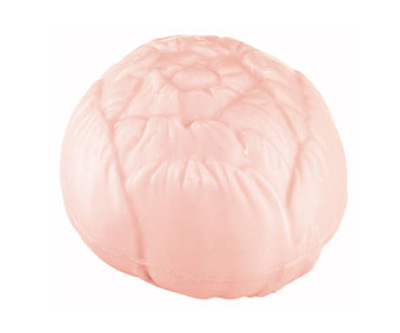 ò���绨 Ů�˟o�����ܵĻ������yƷ