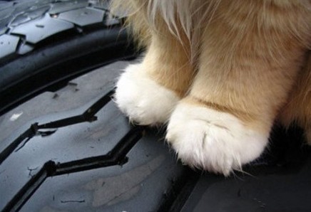 ؈�ԏ��ؼң�С؈����200����ؼ�