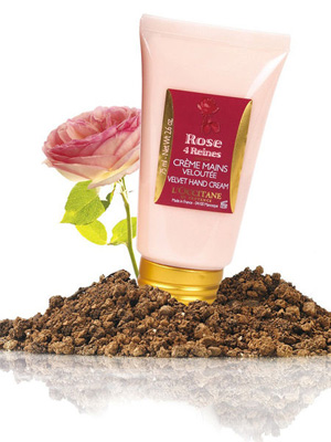 8���ﶬ�؂����ֻش��o��˪ �����ﲻ�o��