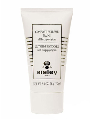 8���ﶬ�؂����ֻش��o��˪ �����ﲻ�o��