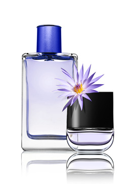 ������ˮɫ���c�Ը�������Pϵ