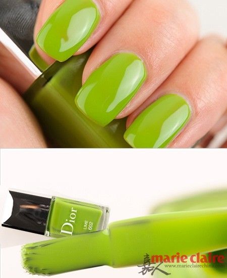 8���ǹ�ɫ�����Wҫ����