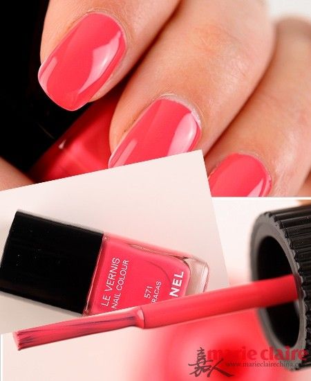 8���ǹ�ɫ�����Wҫ����