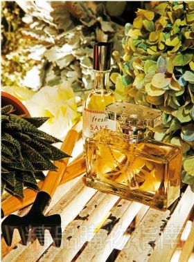 ��̎���� �ҵ���ˮ�r��