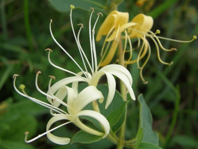 �ӼұطN6�N���� �ÿ����β�