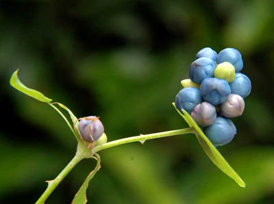 �ӼұطN6�N���� �ÿ����β�