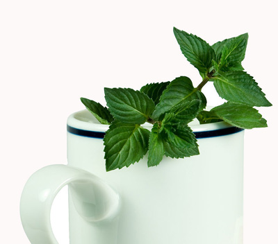 �ӼұطN6�N���� �ÿ����β�