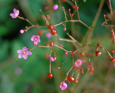 �ӼұطN6�N���� �ÿ����β�