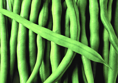 ���׾�Ҫ��ס�� ��Щʳ�ﲻ����