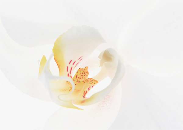 ��IN������څ�� ������������ �f�^�᣿