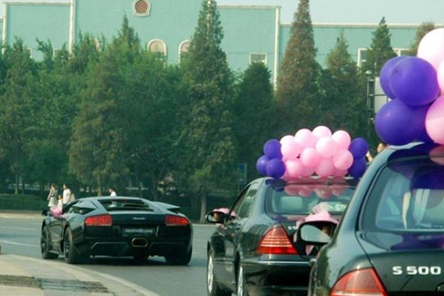 ��ҕ���֏��ټ�50���q�F�V�������ؔ ��Y�ع�