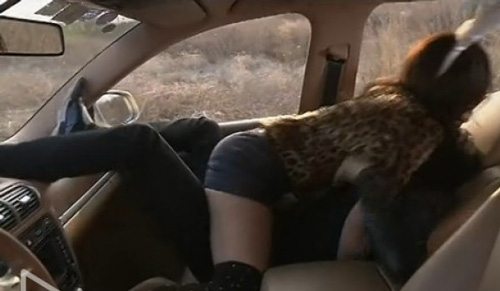 ������ش�߶Ȅ��� ׃