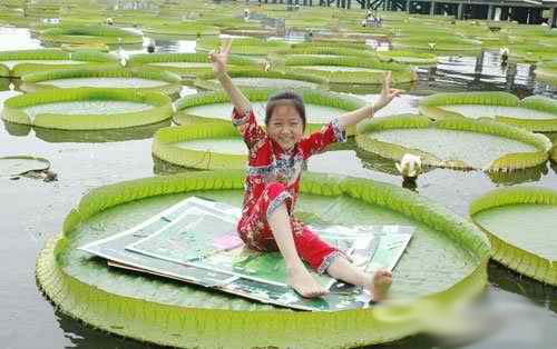 �K�ݺ�����ɫӭ���ɻ����ա� �ɻ�����������