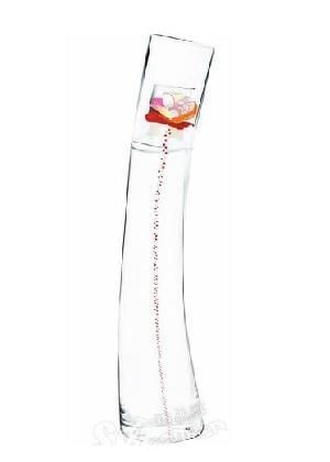 �������㱳��Ĺ���