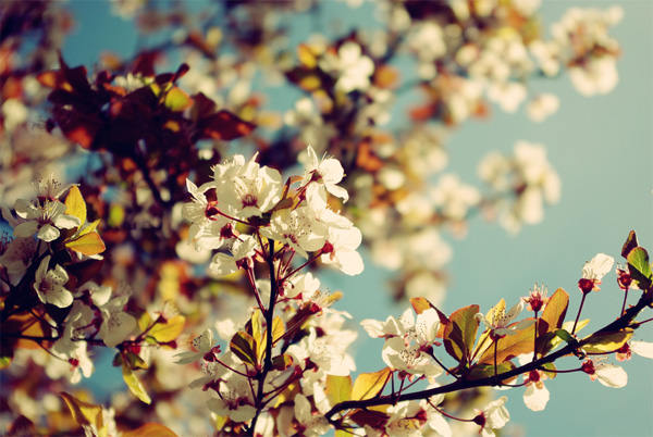 �o��������5�� �񶬱ؔ���ů��