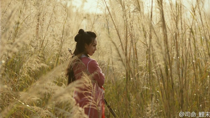 �W(w��ng)��COS��߀ԭ��ϼ���� ��������