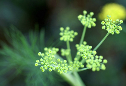 �����������ó� 5�������ľ�����]