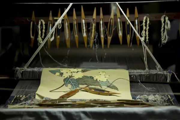 �~�z�����z��Ʒ�еĐ��R��