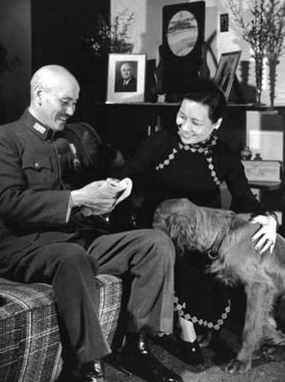 �����g��β��c�Y��ʯ���᣿