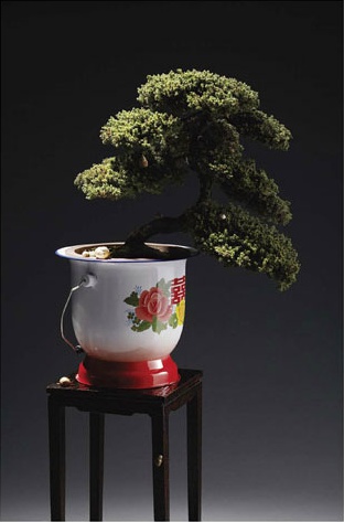 �ճ����´�