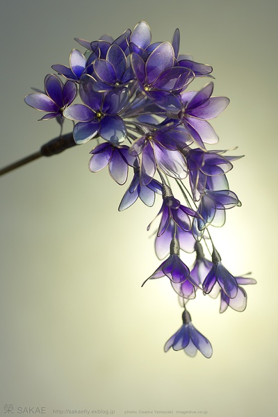 Ȥ��DIY֮�ֹ����������ĸ΃���F�����@