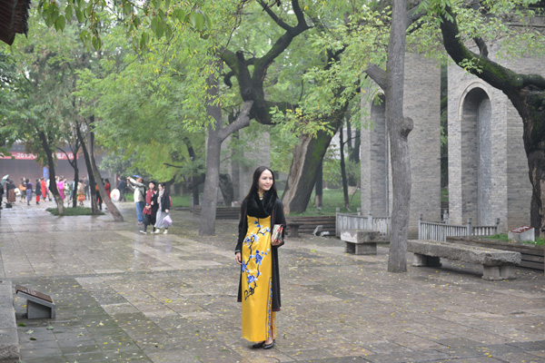 2015�����Ї���ϵ�з��� �������۴����ȫ