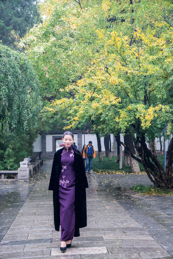 2015�����Ї���ϵ�з��� �������۴����ȫ