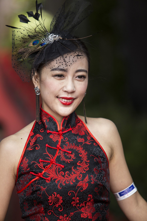 �D�����|������ī���������G