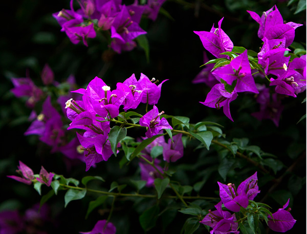 �~õ�ֹ����۹����Һ���ƽ�����_�������������۲ŕ���