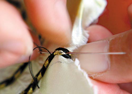 ���۽K�Yƪ������������ˇ